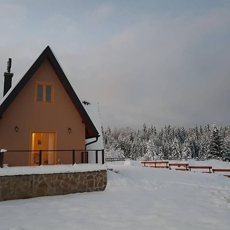 Mountain House Popovic Tara Villa Bajina Basta Bagian luar foto