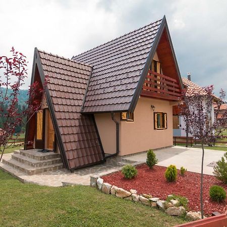 Mountain House Popovic Tara Villa Bajina Basta Bagian luar foto