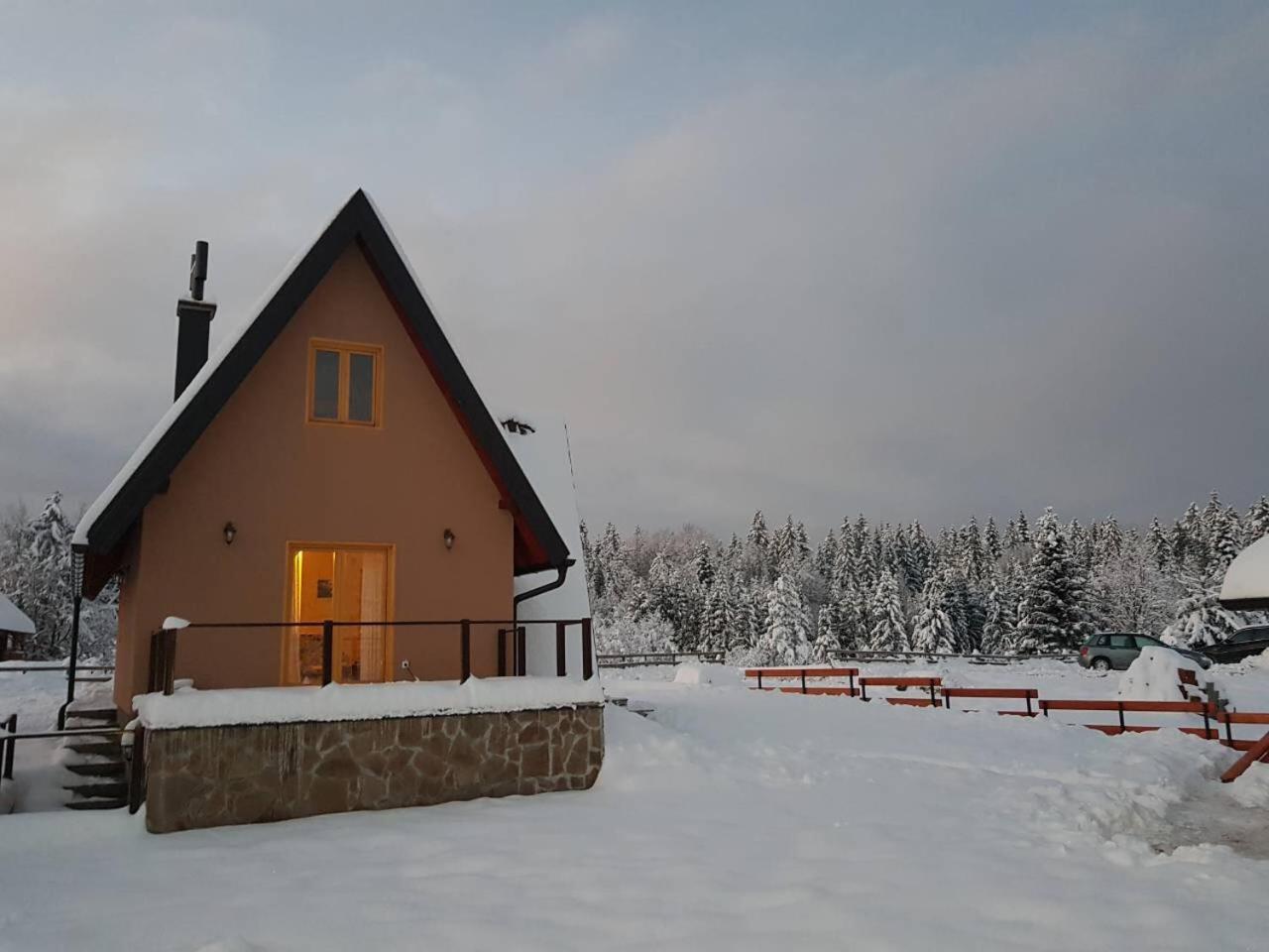 Mountain House Popovic Tara Villa Bajina Basta Bagian luar foto