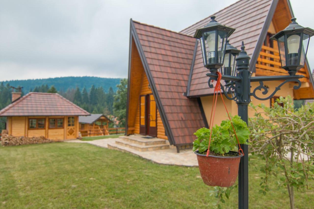 Mountain House Popovic Tara Villa Bajina Basta Bagian luar foto